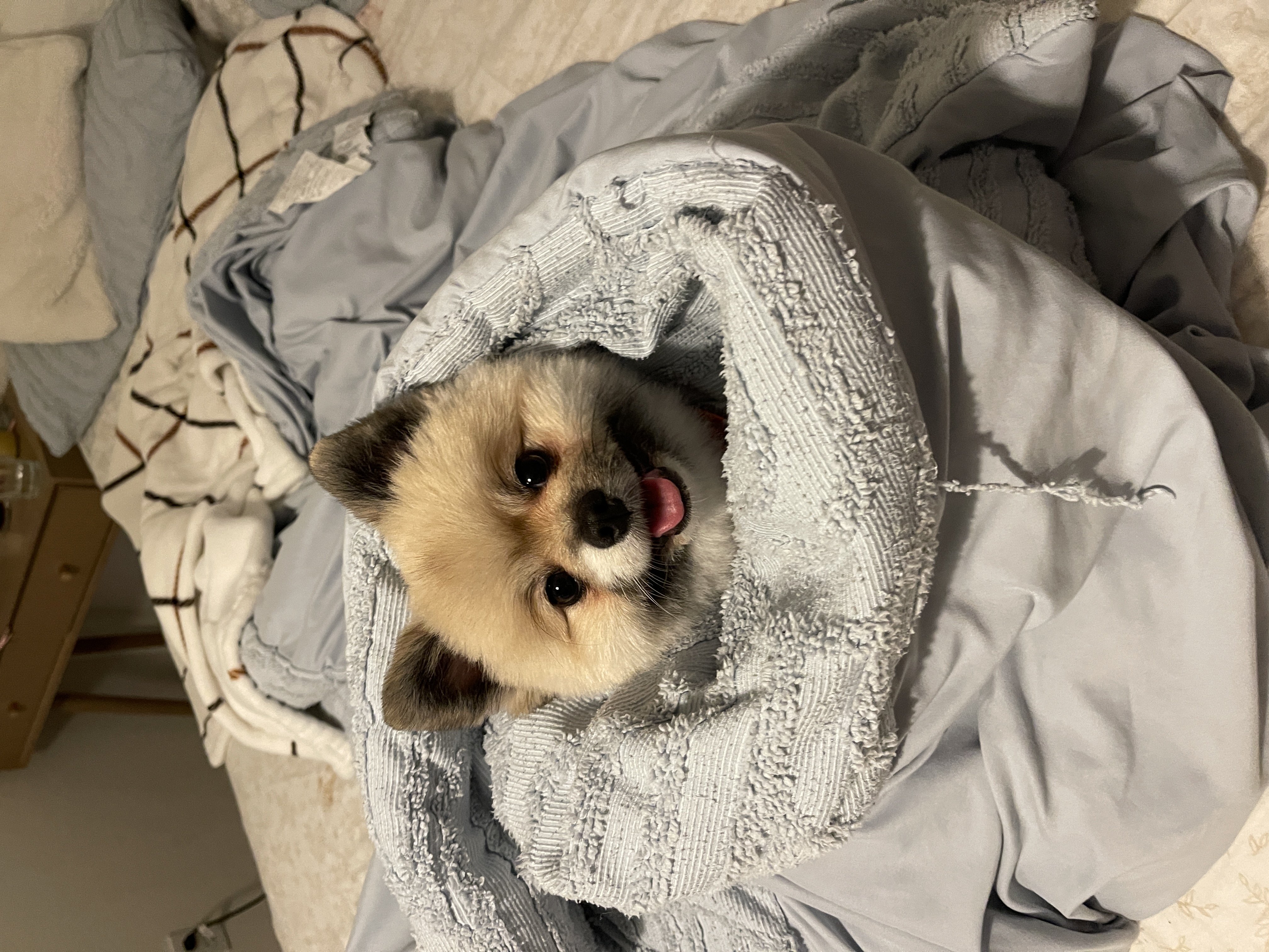 Personal Photo
