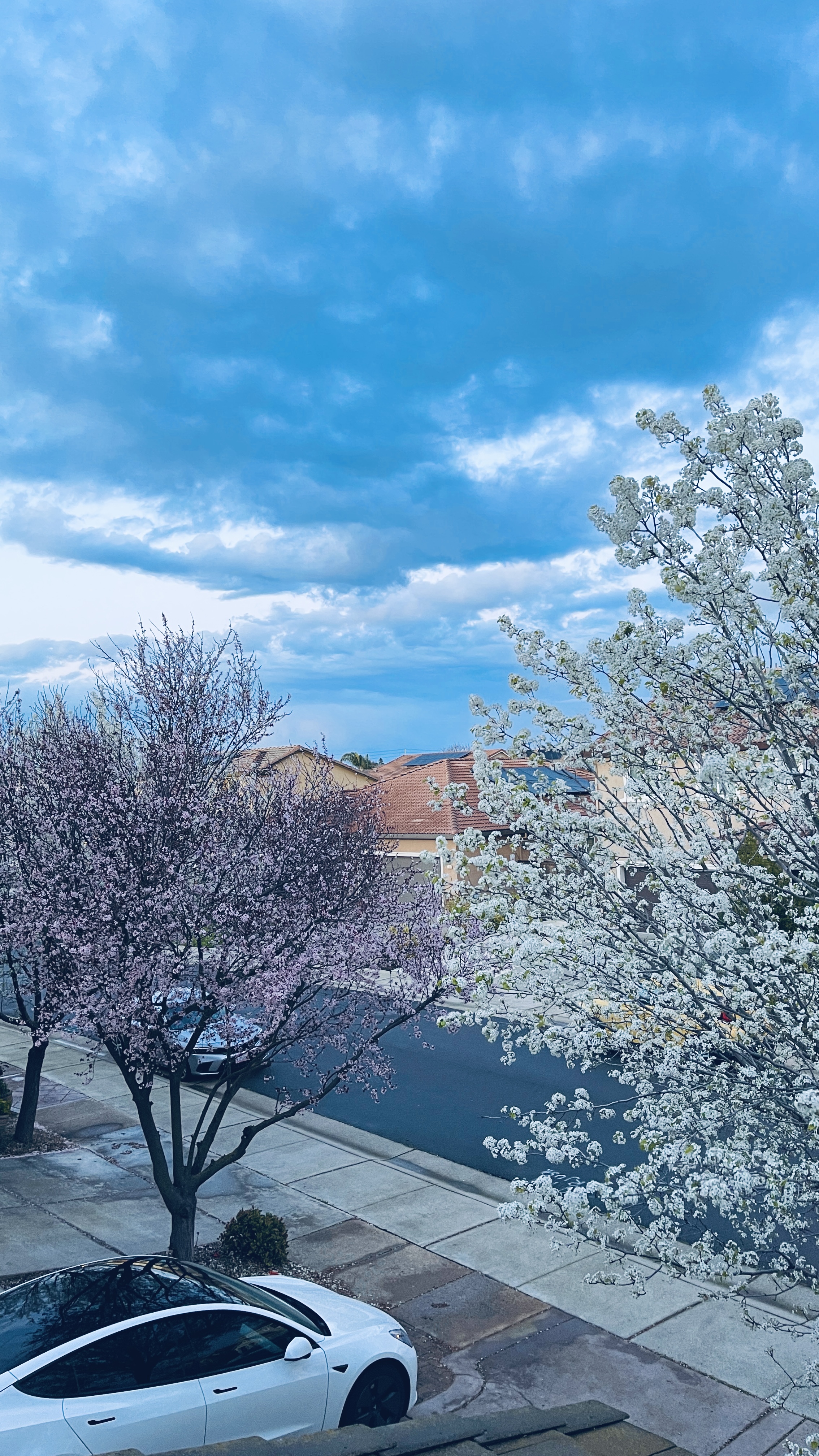 Spring